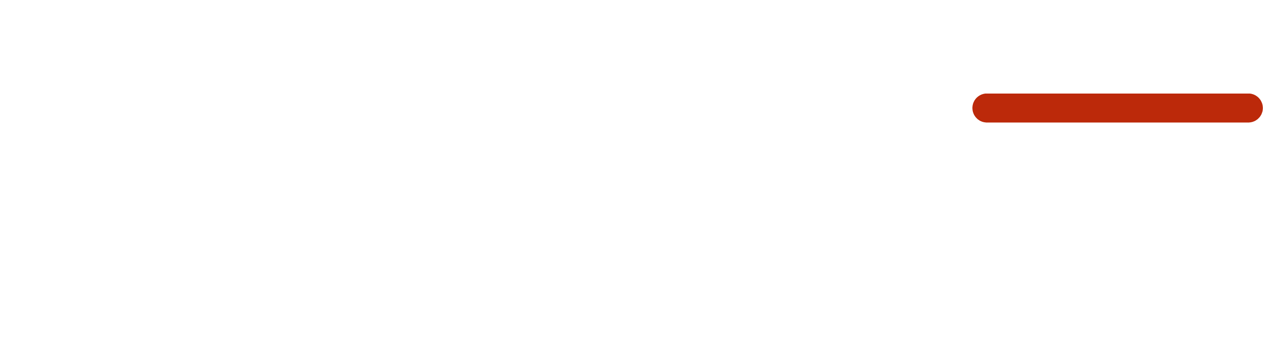 NDF logo